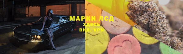 тгк Алзамай