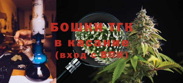 прущие грибы Алексин