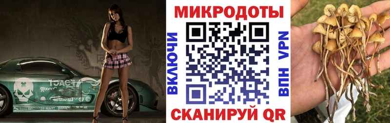 Псилоцибиновые грибы ЛСД  нарко площадка Telegram  kraken   Краснознаменск  дарнет шоп 